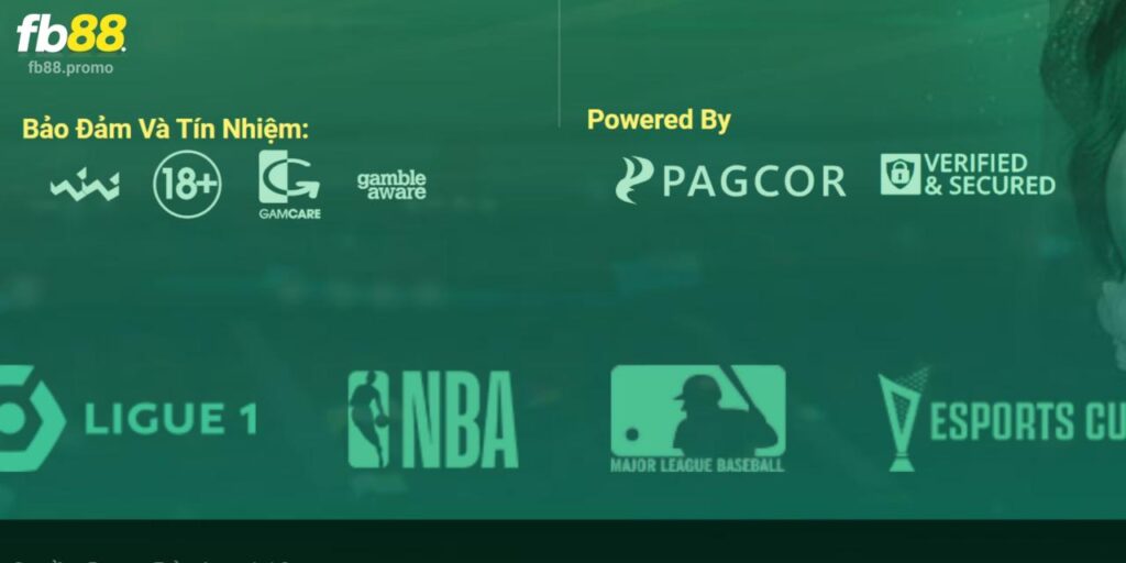 Đối Tác Chính Thức Và Độc Quyền Của Nhà Cái Uy Tín FB88 3 Nhà cái Fb88 phải cam kết tuân thủ các tiêu chuẩn quốc tế